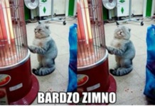 Bardzo zimno