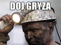 Doj gryza