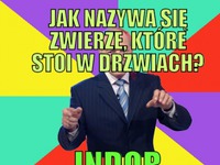 Zwierzę w drzwiach