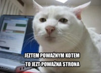 Jestem poważnym kotem :D