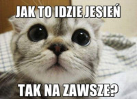 Jak to idzie jesień? :)