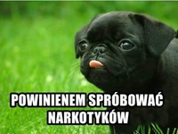 Powinienem spróbować