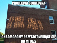 Projekcja słoneczna