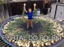 portal do Polski ;)