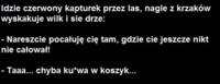 Idzie czerwony kapturek przez las :D