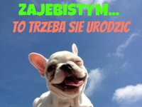 Prawdziwa zajebistość