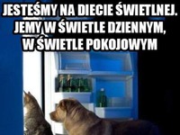 Jemy w świetle ;)