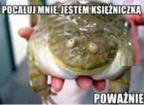 Jestem królewną