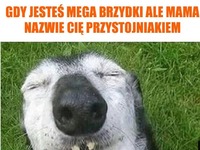 Tak właśnie wyglądam XD