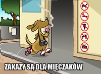 Zakazy są dla mieczaków!