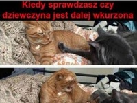 Kiedy sprawdzasz, czy dziewczyna jest nadal wkurzona