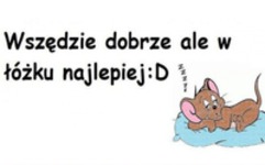 Wszędzie dobrze ale w łóżku najlepiej