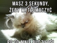 Masz 3 sekundy żeby się  wytłumaczyć :)