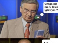 Czego nie ma w lesie iglastym? :D