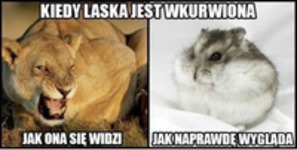 Jak wygląda