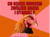 Co będzie owocem związku greka i cyganki?