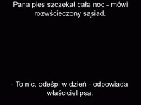 Pana pies szczekał całą noc... Co na to sąsiad.. PADNIESZ heheh