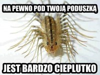 Pod Twoją poduszką