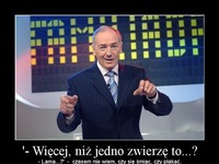 Więcej niż jedno zwierzę