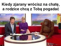 Kiedy zjarany wrócisz na chatę