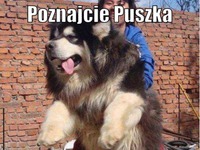 Poznajcie Puszka