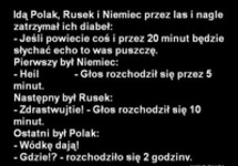 Polak najlepszy ;)