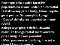 Dwóch facetów wybrała się na biwak! xd