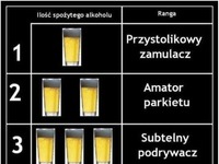 Ilość spożytego alkoholu. ZOBACZ jaka RANGA pasuje do ciebie!