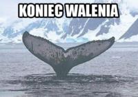 Koniec walenia :D