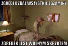 Zgredek zdał wszystkei egzaminy