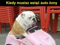 Auto dziewczyny