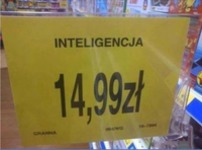 Inteligencja