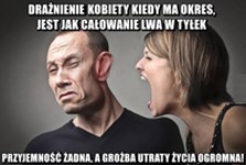 Całowanie lwa