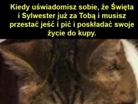 Koniec laby ;(