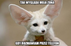 Moja żona, gdy gadam przez telefon