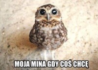 Moja mina gdy cos chcę :D