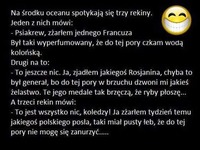 Rekiny urządziły sobie ucztę. HAHA DOBRE