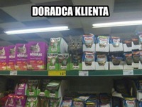 Doradca klienta