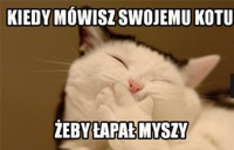 Żeby łapał myszy