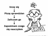 na to wychodzi
