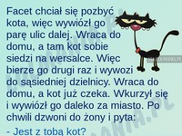 Facet miał dosyc swojego kota! HAHA BEKA