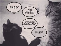 dobry test