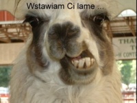 Wstawiam Ci lame, bo... :D