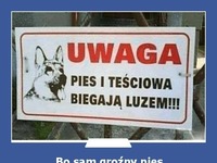 sam pies nie wystarczy