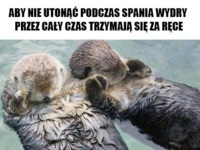 Słodkie <3