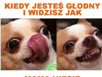 Ja kiedy jestem głodny a mama właśnie niesie jedzenie XD