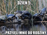 Dzień 5