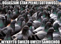 Umył auto