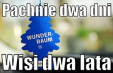 Wunder Baum ;D