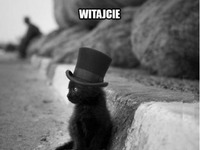 Witajcie